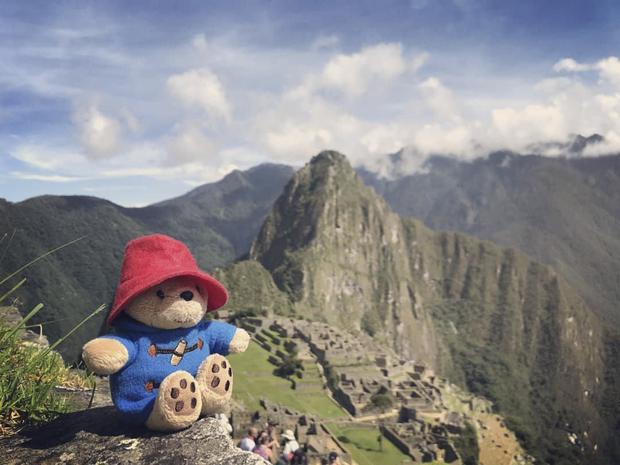The movie "Paddington in Peru" was filmed in our country, although the majority of the film was recorded in London and Colombia