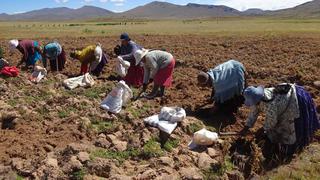 Bono Agrario 2022 | Cuándo se pagaría, monto y beneficiarios