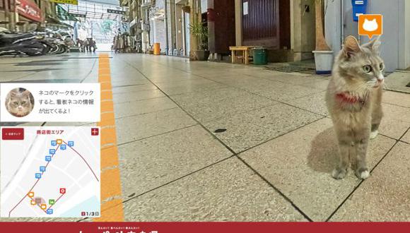 Cat Street Wiew te permite conocer Hiroshima gracias a un gato