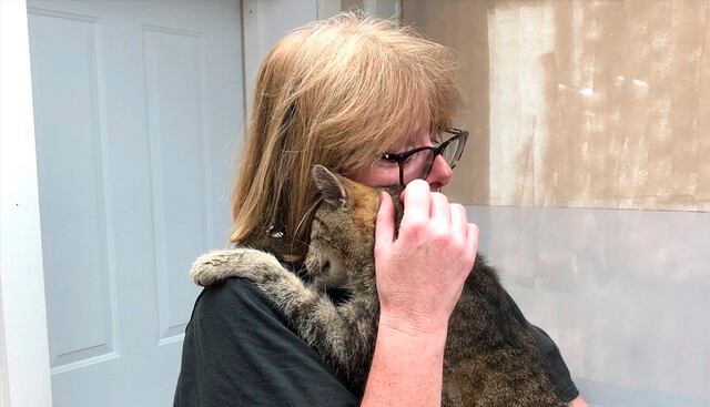 Un gato desaparecido se reúne con su dueña 11 años después. La historia es viral en redes sociales.&nbsp;(Facebook | Dutchess County SPCA)
