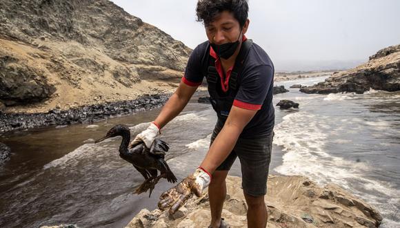 Exposición fotográfica mostrará los daños al medio ambiente causados por los derrames de petróleo. Foto: MOCICC