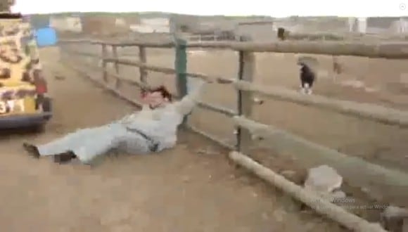 Este video viral de YouTube nos muestra el tremendo momento en el que un muchacho recibe el 'karma' por fastidiar a un carnero en una granja. | Yt