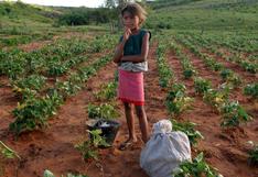 Día Mundial de la Alimentación: claves contra el hambre en América Latina