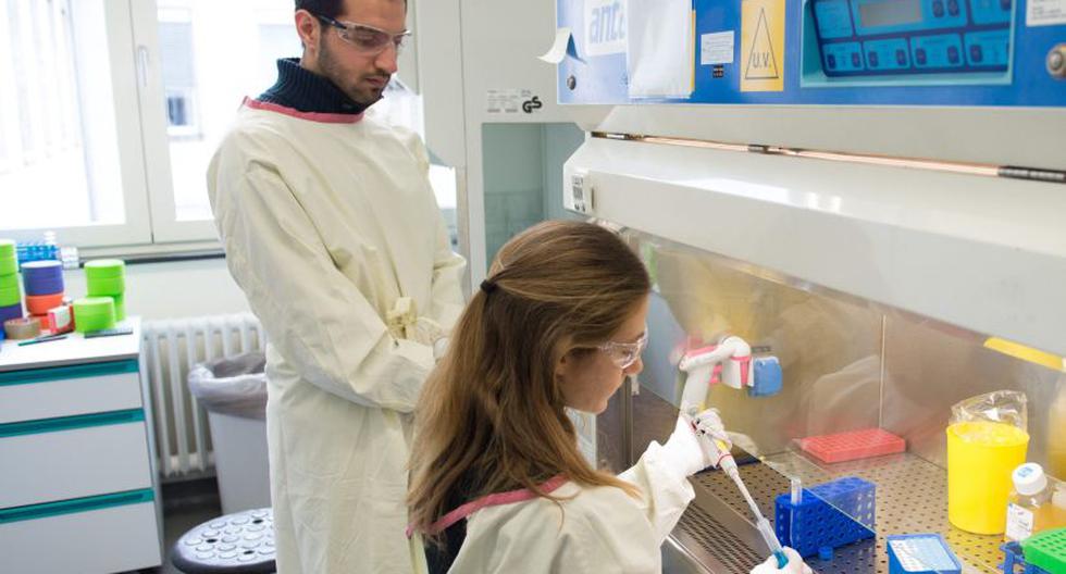 Expertos en Alemania trabajan en vacuna contra el ébola. (Foto: EFE)