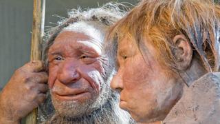 Los neandertales eran tan avanzados tecnológicamente como el homo sapiens 