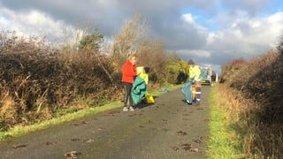 Una lluvia de aves muertas cae inesperadamente sobre una carretera en el Reino Unido 