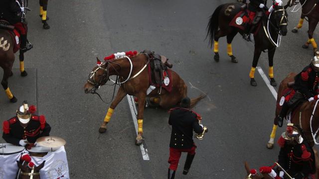 Uno de los caballos del regimiento Mariscal Domingo Nieto sufrió una caída