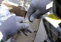 Hallan cocaína que iba ser enviada a México y España por Serpost
