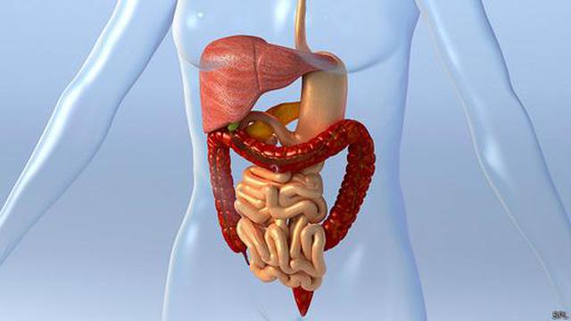 Los lugares inesperados del cuerpo que reaccionan al olor - 2