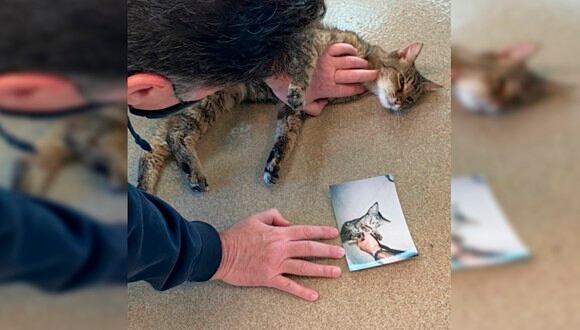 Charles pudo reencontrarse, 15 años después, con su gatita desaparecida. | Foto: AP/Los Angeles County Department of Animal Care and Control
