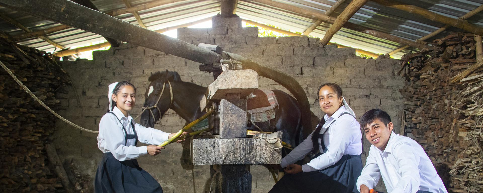 El equipo de estudiantes piuranos que creó un sistema para llevar energía eléctrica a su comunidad 