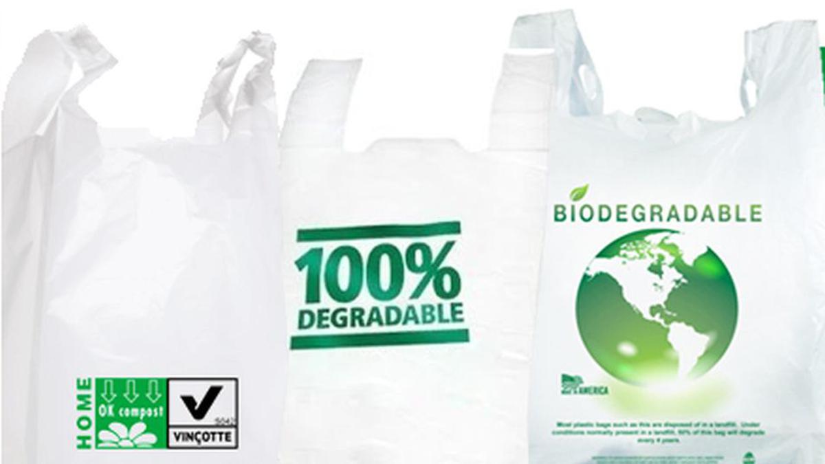 Oh Colector Rústico Qué son las bolsas biodegradables y cuánto tiempo tardan en degradarse? |  RESPUESTAS | MAG.