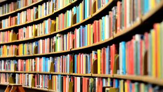 ¿Cuáles son los costos y beneficios de una Ley del libro? | Opinión