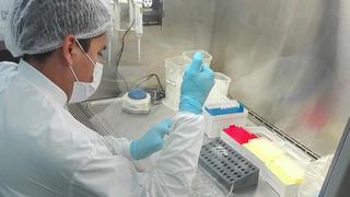 Vacuna peruana: Universidad Cayetano Heredia aclara que no ha aprobado pruebas en humanos
