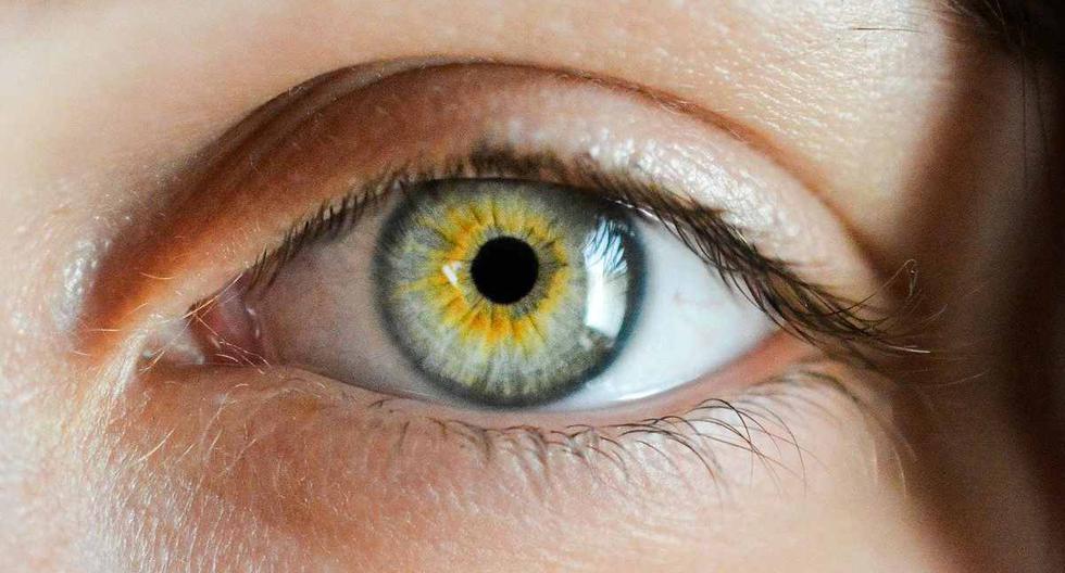 La retina puede mostrar su evolución en el caso de pacientes con alzheimer. (Foto: ofie Zbořilová/Pixabay)