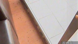 Plaga de moscas invade viviendas de condominio en Ate