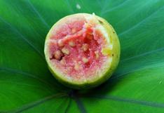 Guayaba: una deliciosa fruta con propiedades beneficiosas para la salud