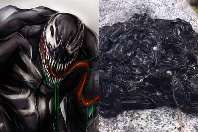 Los usuarios de las redes sociales decidieron llamar a la especie ‘Venom’, en honor al personaje de Marvel.