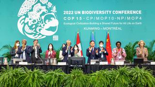 COP15: Los 10 principales objetivos del acuerdo global sobre biodiversidad de la ONU