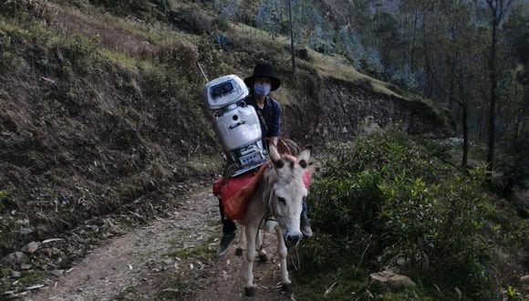 Qipi y el profesor Walter Velásquez recorren a pie o en burro los caseríos del distrito de Colcabamba, en Huancavelica, en busca de sus alumnos para dictarles clase. (Foto: Archivo Personal).