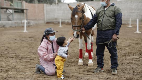 Terapia con caballos: centro de equinoterapia Hambhar