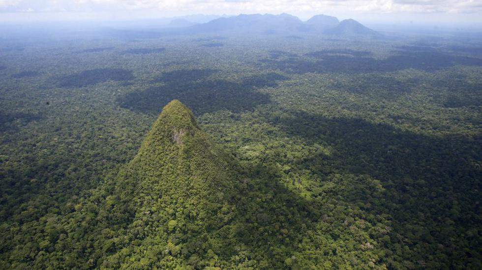 El Parque Nacional Sierra del Divisor tiene m&aacute;s de un mill&oacute;n de hect&aacute;reas de extensi&oacute;n y est&aacute; ubicado entre Ucayali y Loreto. (Foto: Dante Piaggio / El Comercio)