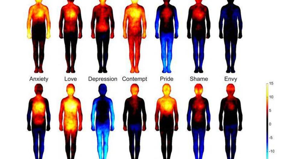 Las diferentes reacciones del cuerpo a las emociones. (Imagen: Universidad Aalto)
