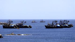 Pesqueras no esperan gran impacto de El Niño en la anchoveta