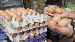 Precio del huevo subiría a más de S/ 9 el kilo, advierte Avisur