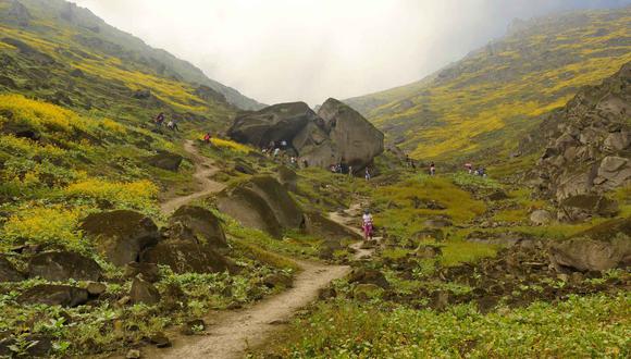 Las Lomas de Mangomarca contribuyen con la preservación de especies en peligro de extinción y son aliados claves en la lucha contra el cambio climático. (Foto: Agencia Andina / Difusión)