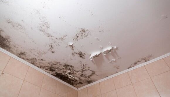 Presencia de moho en el techo del baño. (Foto: iberdecohumedades.es)