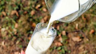 Midagri insiste que no se permitirá el uso de leche en polvo para la elaboración del evaporado