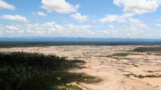 Bosque devastado por la minería ilegal será recuperado con plantaciones forestales