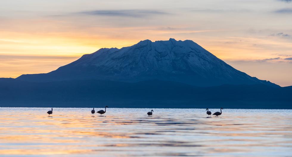 Esta reserva alberga lagunas, aguas termales, bofedales y escenarios espectaculares en los que puedes avistar fauna y hacer fotos creativas.