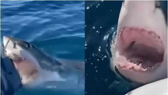 Un tiburón blanco asustó a una familia de Australia, que capturó el aterrador momento. (Youtube/9 news).