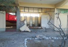 Sismo en Arequipa: cifra de daños que deja al momento
