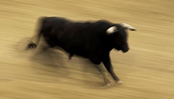 Toros, toreros y público, por Fernando de Trazegnies