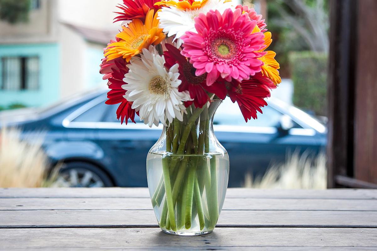 Tus flores pueden durar más tiempo con estos sencillos trucos | CASA-Y-MAS  | EL COMERCIO PERÚ