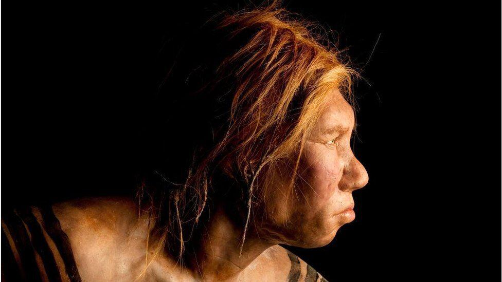 It is not known how female Neanderthals differed from males.  (GETTY IMAGES).