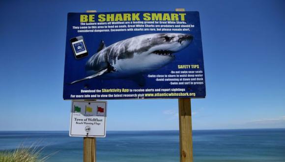 En las playas del condado de Cape Cod, en la costa este de Estados Unidos, se ha registrado un aumento del avistamiento de tiburones.