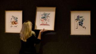 Las "siniestras y eróticas" frutas de Dalí se separan en subasta en Londres