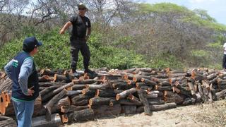 Incautaron más de mil troncos de algarrobo talados ilegalmente