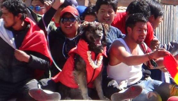 Petardo, el perro que acompañó las protestas en Bolivia