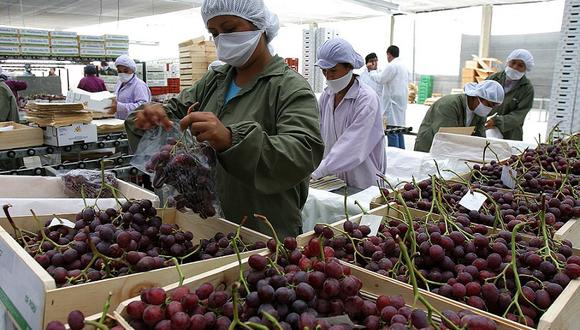 La Unión Europea es el tercer destino de las exportaciones peruanas, después de China y Estados Unidos. (Foto: MINCETUR/Difusión)