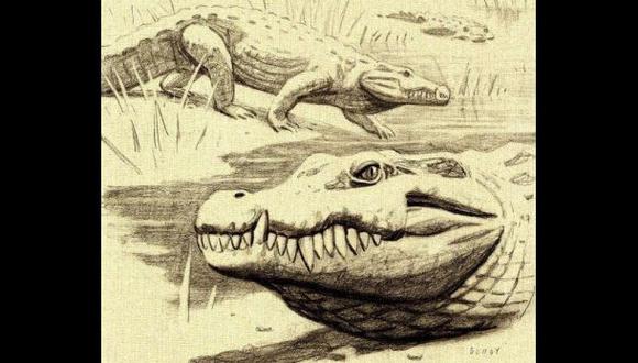 Descubren fósiles de una nueva especie de cocodrilo