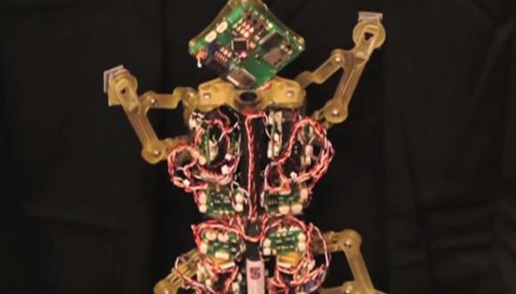 Estos diminutos robots son capaces de mover 100 veces su peso