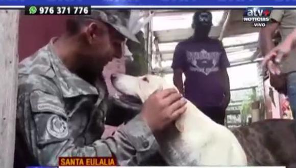 Ejército dio media tonelada de alimentos a albergue de mascotas