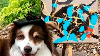Mujer gana miles de euros gracias a las obras de arte pintadas por su perro