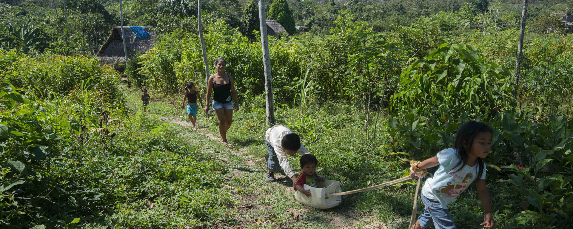 Así sobreviven las comunidades “no contactadas” en la frontera de Perú y Brasil