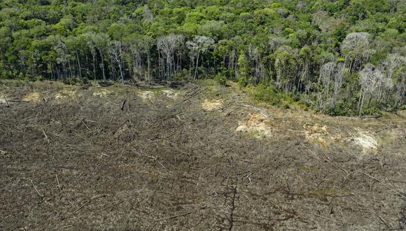 (FILES) This aerial file photo taken on August 7, 2020, shows a deforested area close to Sinop, Mato Grosso State, Brazil. - Deforestation in Brazil's Amazon rainforest rose by almost 22 percent from August 2020 to July 2021 compared with the same period the year before, reaching the highest level in 15 years,  authorities said on Thursday, November 18, 2021. (Photo by Florian PLAUCHEUR / AFP)